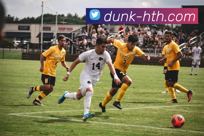 App Interface Preview